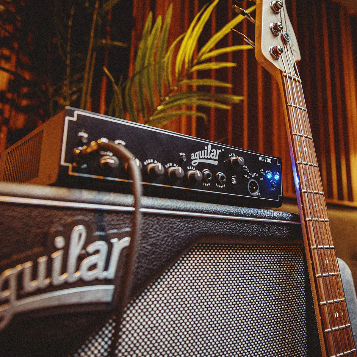AG 700 Bass Amp Version 1 (Certified Refurbished) - Image 3